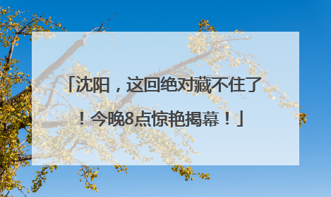 沈阳，这回绝对藏不住了！今晚8点惊艳揭幕！