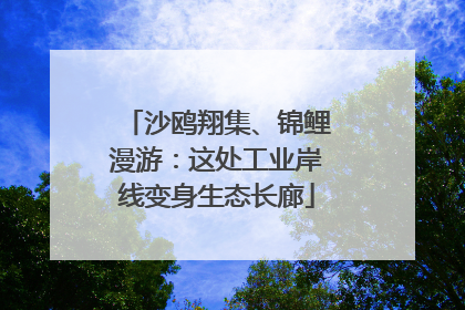 沙鸥翔集、锦鲤漫游：这处工业岸线变身生态长廊