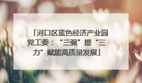 河口区蓝色经济产业园党工委：“三强”提“三力”赋能高质量发展