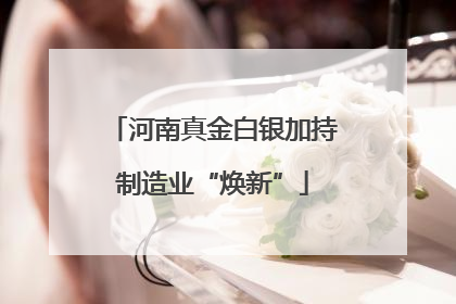 河南真金白银加持制造业“焕新”