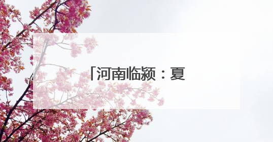 河南临颍：夏至时节农事忙