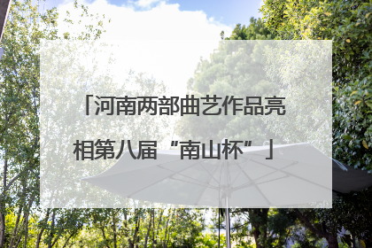 河南两部曲艺作品亮相第八届“南山杯”