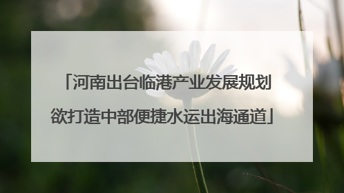 河南出台临港产业发展规划 欲打造中部便捷水运出海通道