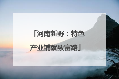 河南新野：特色产业铺就致富路