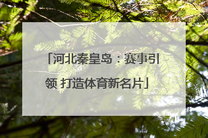 河北秦皇岛：赛事引领 打造体育新名片