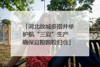 河北故城多措并举护航“三夏”生产 确保夏粮颗粒归仓