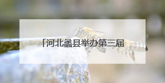 河北蠡县举办第三届中小学生合唱展演