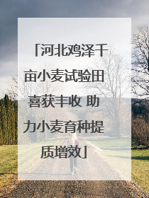 河北鸡泽千亩小麦试验田喜获丰收 助力小麦育种提质增效
