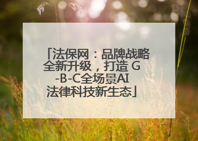 法保网：品牌战略全新升级，打造 G-B-C全场景AI法律科技新生态