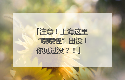 注意！上海这里“嘤嘤怪”出没！你见过没？！