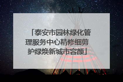 泰安市园林绿化管理服务中心精修细剪护绿焕新城市容颜