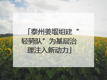 泰州姜堰组建“轻骑队”为基层治理注入新动力