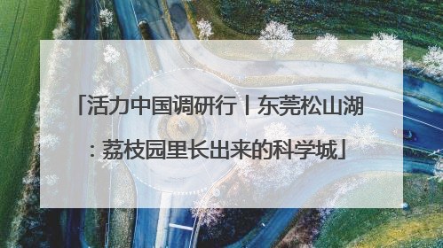 活力中国调研行丨东莞松山湖：荔枝园里长出来的科学城