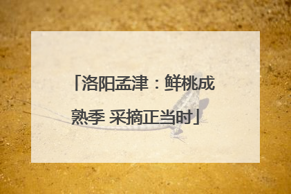 洛阳孟津：鲜桃成熟季 采摘正当时