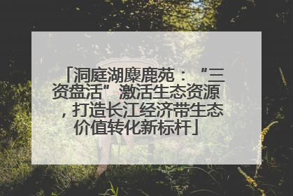 洞庭湖麋鹿苑：“三资盘活”激活生态资源，打造长江经济带生态价值转化新标杆