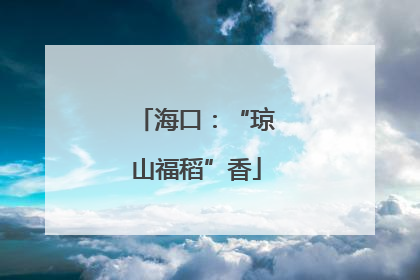 海口：“琼山福稻”香