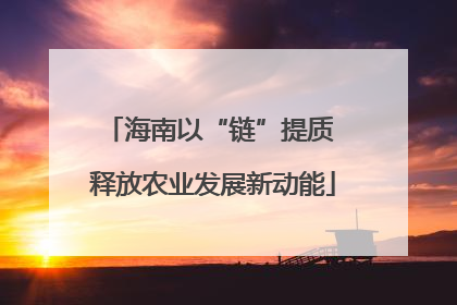 海南以“链”提质 释放农业发展新动能