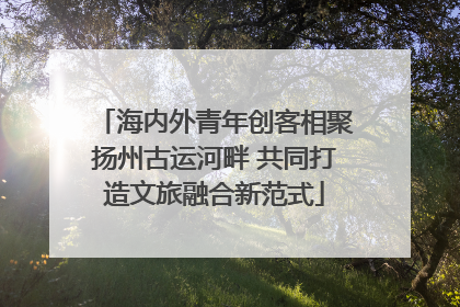 海内外青年创客相聚扬州古运河畔 共同打造文旅融合新范式