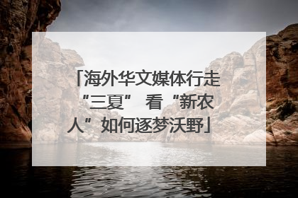 海外华文媒体行走“三夏” 看“新农人”如何逐梦沃野