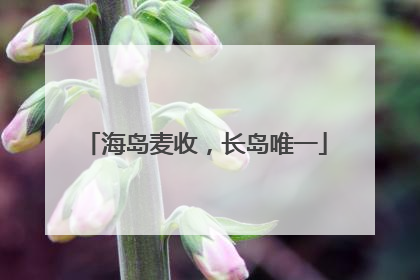 海岛麦收，长岛唯一