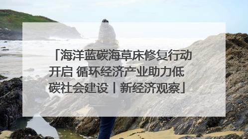 海洋蓝碳海草床修复行动开启 循环经济产业助力低碳社会建设丨新经济观察