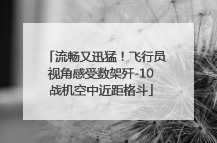 流畅又迅猛！飞行员视角感受数架歼-10战机空中近距格斗