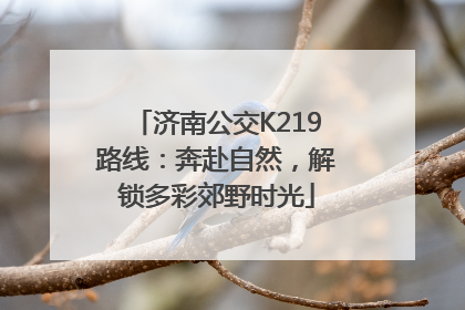 济南公交K219路线：奔赴自然，解锁多彩郊野时光