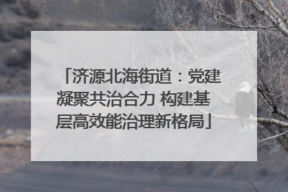 济源北海街道：党建凝聚共治合力 构建基层高效能治理新格局