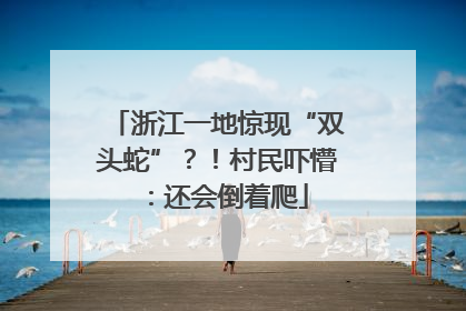 浙江一地惊现“双头蛇”？！村民吓懵：还会倒着爬