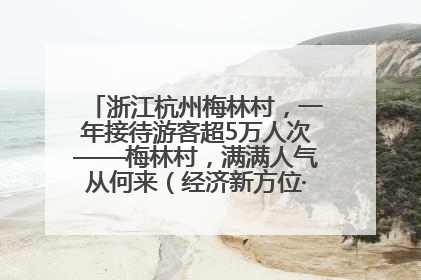 浙江杭州梅林村，一年接待游客超5万人次——梅林村，满满人气从何来（经济新方位·农村消费观察）