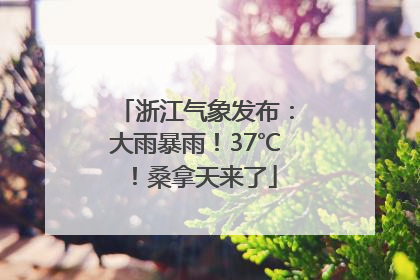 浙江气象发布：大雨暴雨！37℃！桑拿天来了