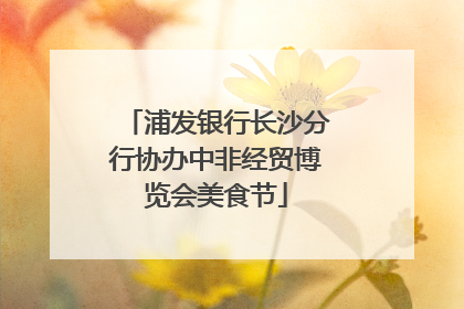 浦发银行长沙分行协办中非经贸博览会美食节