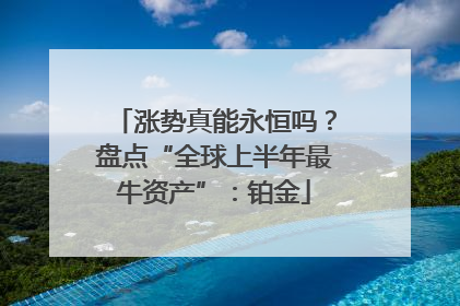涨势真能永恒吗？盘点“全球上半年最牛资产”：铂金