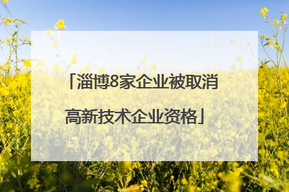 淄博8家企业被取消高新技术企业资格