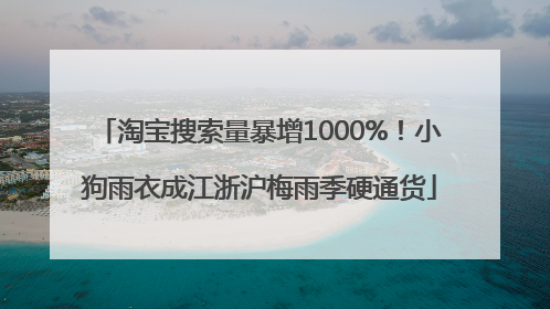 淘宝搜索量暴增1000%！小狗雨衣成江浙沪梅雨季硬通货