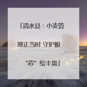 清水县：小麦管理正当时 守护粮“芯”绘丰景