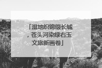 湿地织锦缀长城，苍头河染绿右玉文旅新画卷