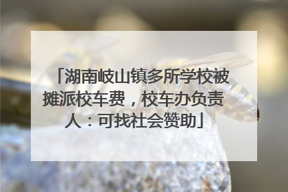 湖南岐山镇多所学校被摊派校车费，校车办负责人：可找社会赞助