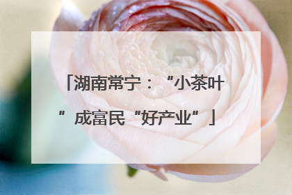 湖南常宁：“小茶叶”成富民“好产业”