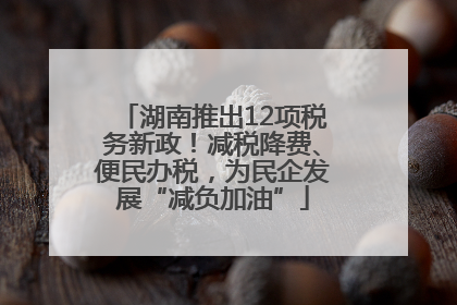 湖南推出12项税务新政！减税降费、便民办税，为民企发展“减负加油”