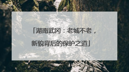 湖南武冈：老城不老，新貌背后的保护之道