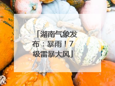 湖南气象发布：暴雨！7级雷暴大风