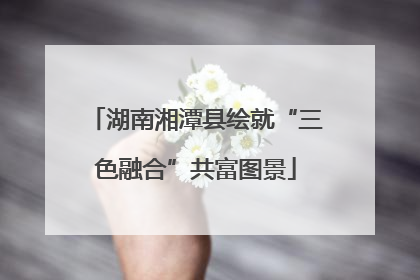 湖南湘潭县绘就“三色融合”共富图景