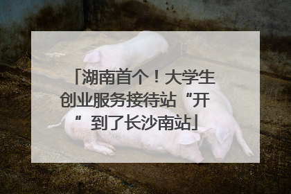 湖南首个！大学生创业服务接待站“开”到了长沙南站