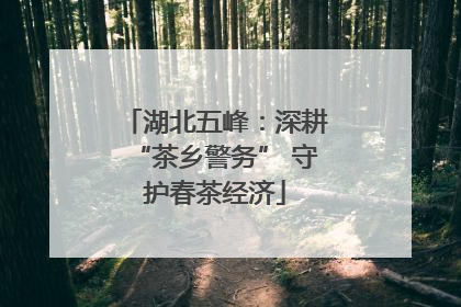 湖北五峰：深耕“茶乡警务” 守护春茶经济