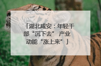 湖北咸安：年轻干部“沉下去” 产业动能“涨上来”