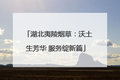 湖北夷陵烟草：沃土生芳华 服务绽新篇