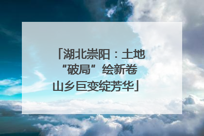 湖北崇阳：土地“破局”绘新卷 山乡巨变绽芳华