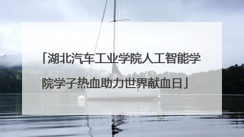 湖北汽车工业学院人工智能学院学子热血助力世界献血日