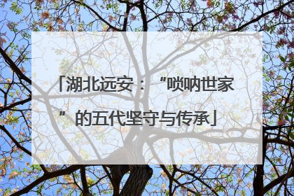 湖北远安：“唢呐世家”的五代坚守与传承